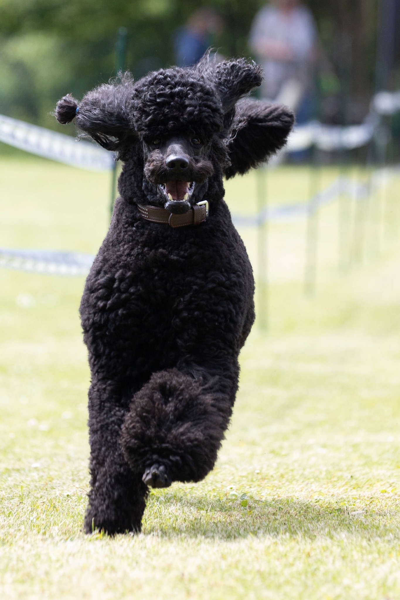 348467729_1997580647240496_6325695106110406612_n