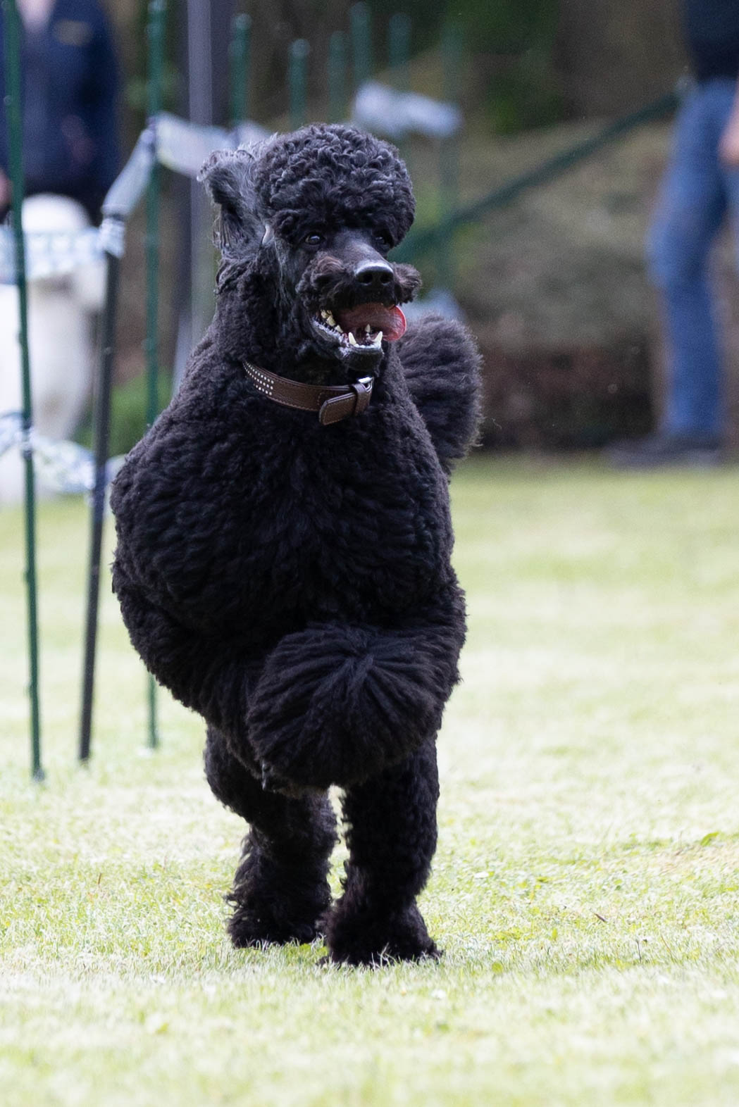 348547186_208118192074034_7109581628031534561_n