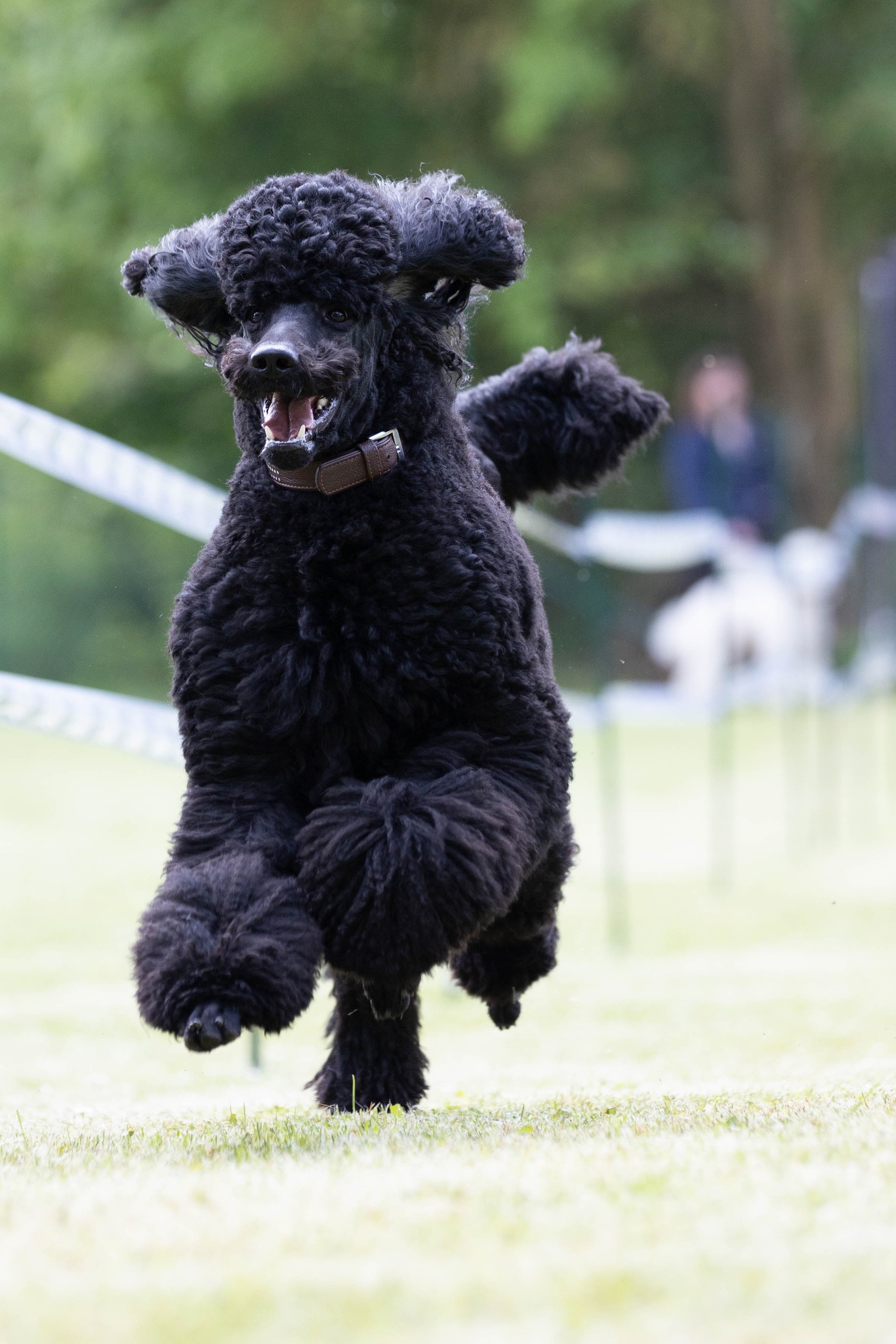 348547472_760215419157657_8817066735411079546_n